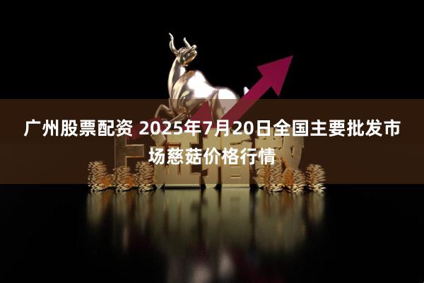 广州股票配资 2025年7月20日全国主要批发市场慈菇价格行情