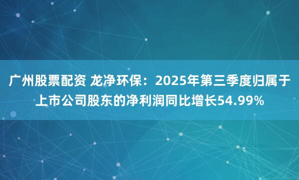 广州股票配资 龙净环保：2025年第三季度归属于上市公司股东的净利润同比增长54.99%